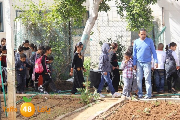 torath zahra20402 (33).JPG